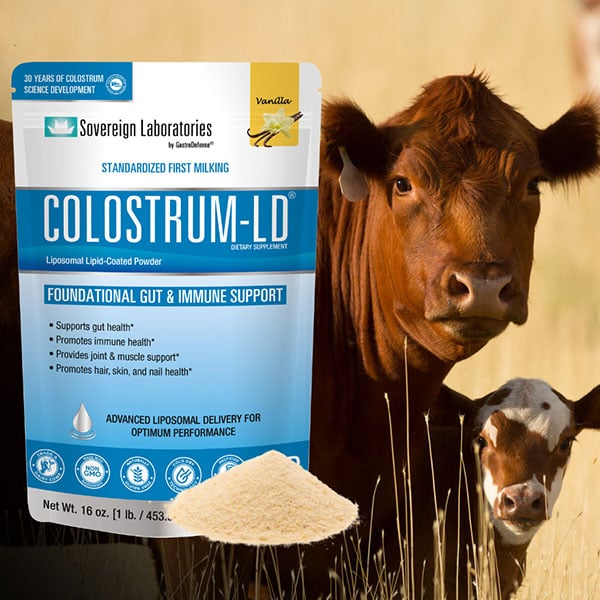 16oz Colostrum Powder Vanilla and Cows
