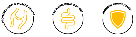 Curcumin Product Benefits Icons